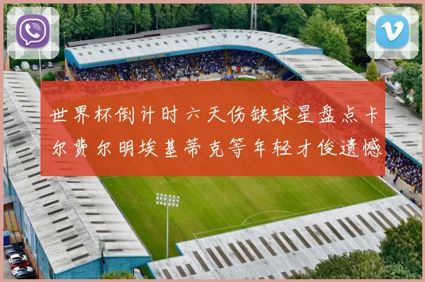 世界杯倒计时六天伤缺球星盘点卡尔费尔明埃基蒂克等年轻才俊遗憾缺席